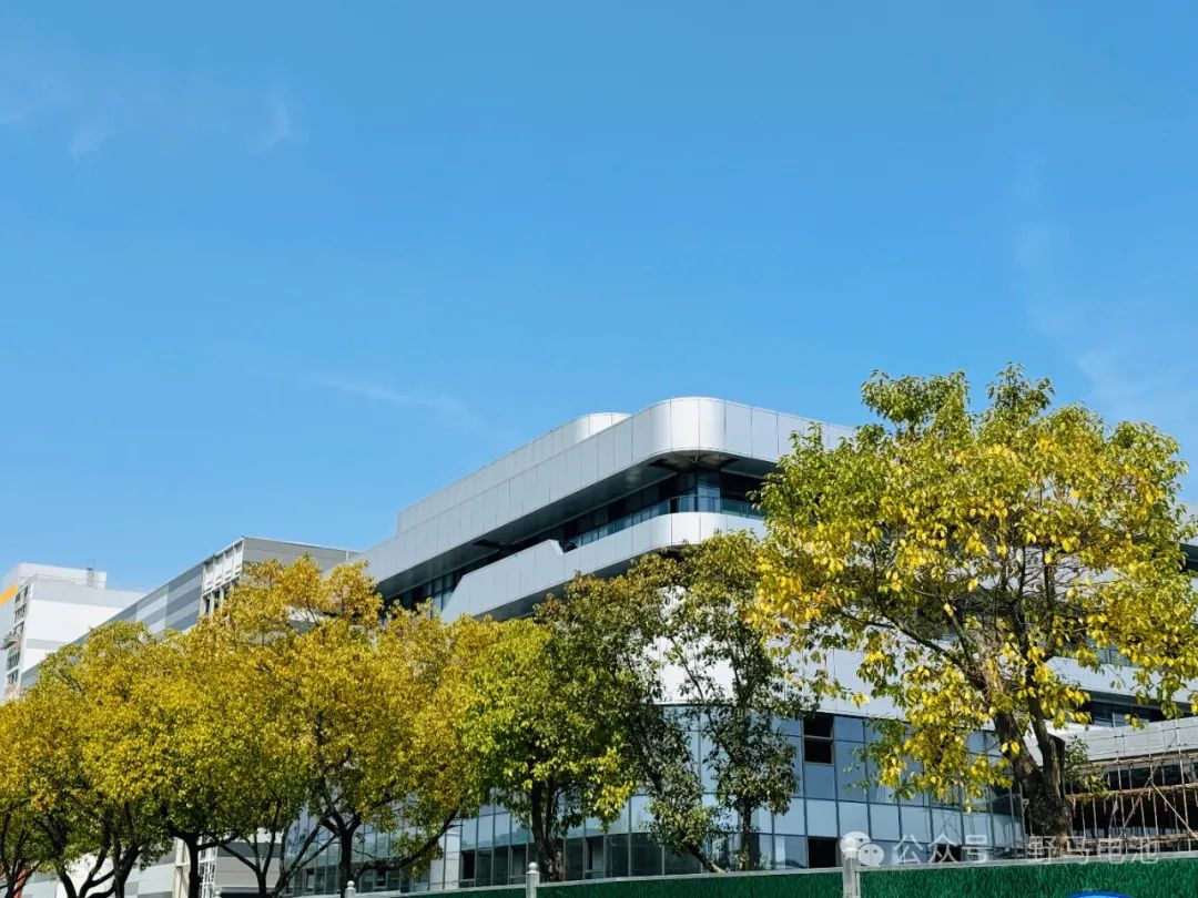 和记AG电池的春景